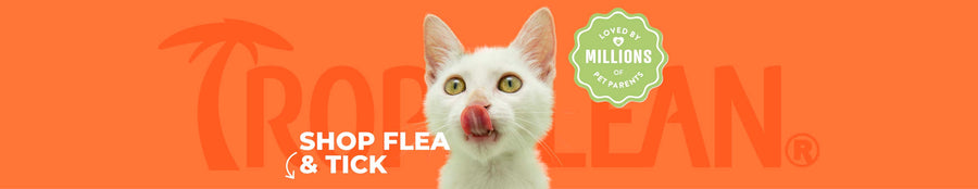 Flea + Tick Shampoo