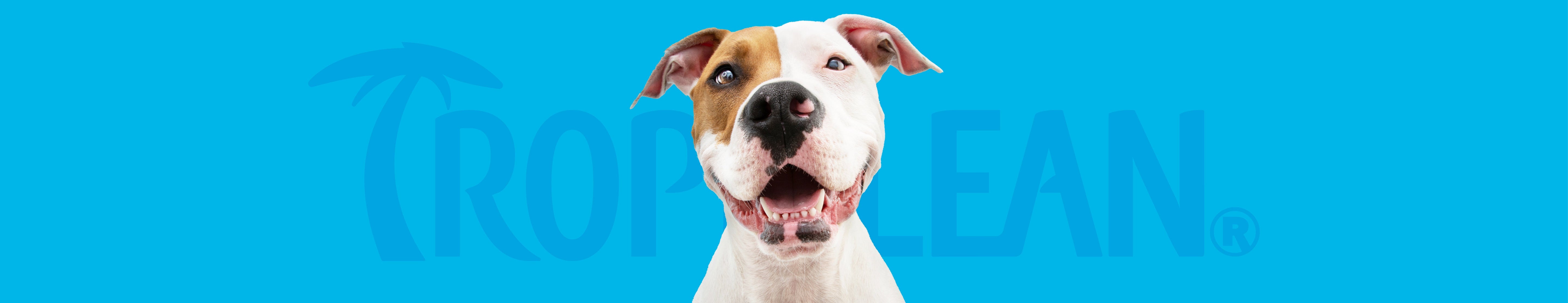 Dental Water Additives