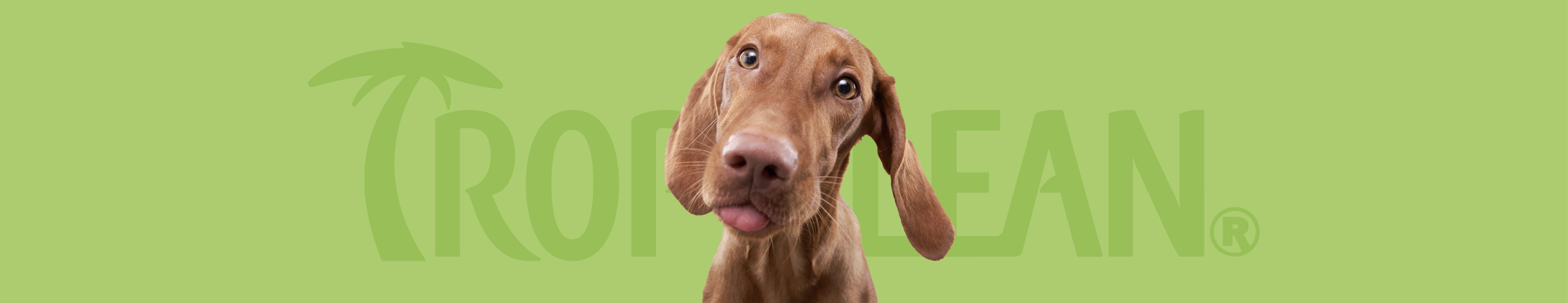 Groomer Favorites