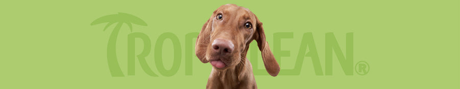 Groomer Favorites