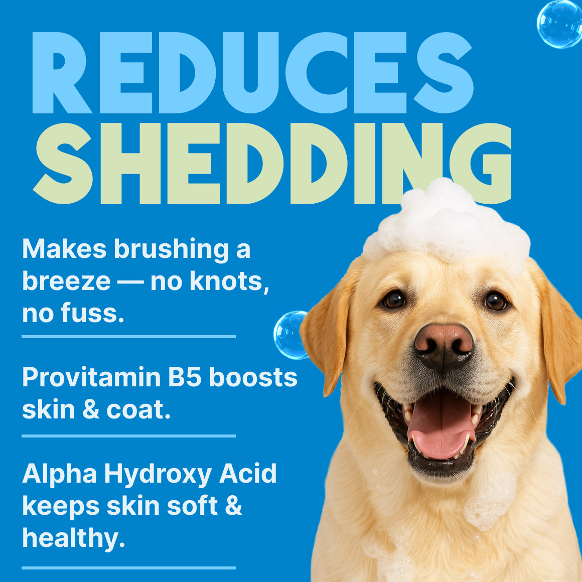 TropiClean Lime & Coconut Shed Control Shampoo for Pets, 2.5 gal
