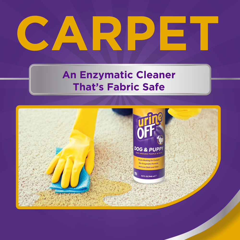 Urine Off Dog & Puppy Carpet Applicator, 32oz