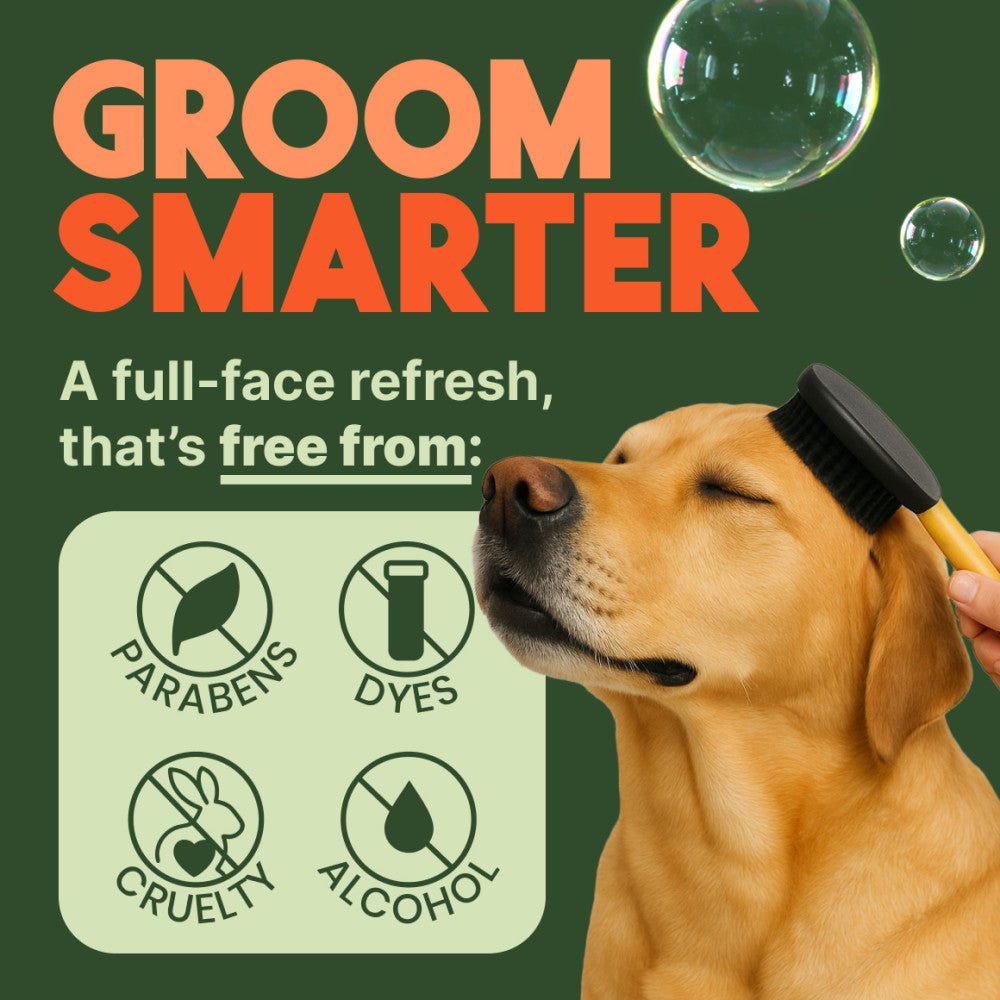 TropiClean No Rinse 2 In 1 Luxury Shampoo, 7.4oz