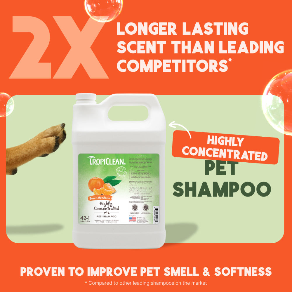 TropiClean Sweet Mandarin High Concentrate Shampoo for Pets, 1 gal