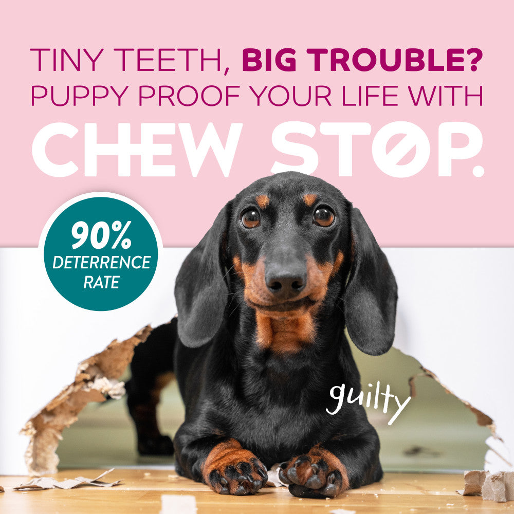 TropiClean Chew Stop Behavior Aid Puppy Spray, 8oz