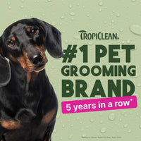 TropiClean Berry Breeze Deodorizing Spray for Pets, 8oz