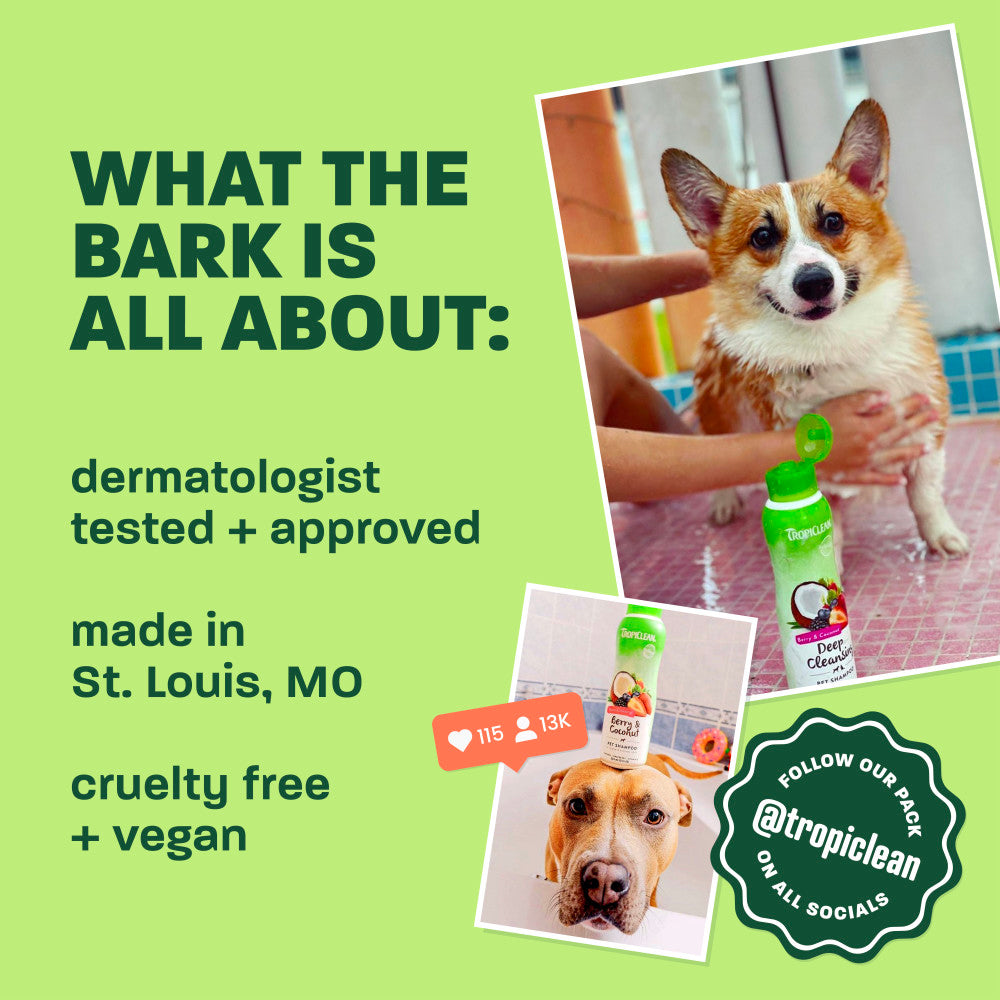 TropiClean Papaya Deodorizing Spray, 10oz