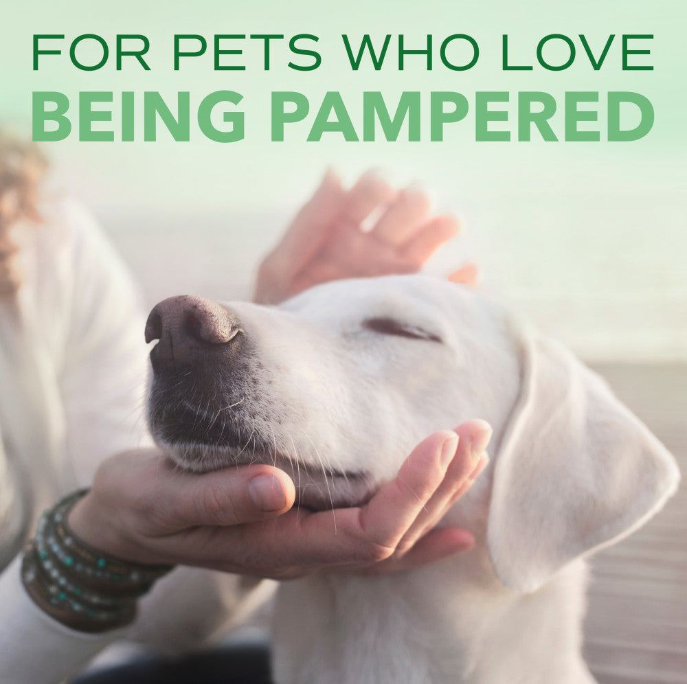 SPA by TropiClean Lavish Comfort Cologne Spray for Pets, 8oz