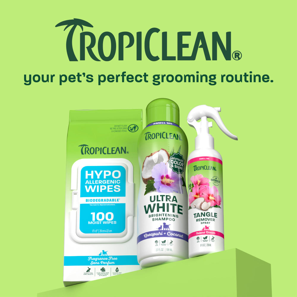 TropiClean Ultra White Brightening Shampoo for Pets, 20oz - Lined Cap