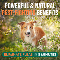 TropiClean Natural* Flea + Tick Home + Dog Spray, 32oz