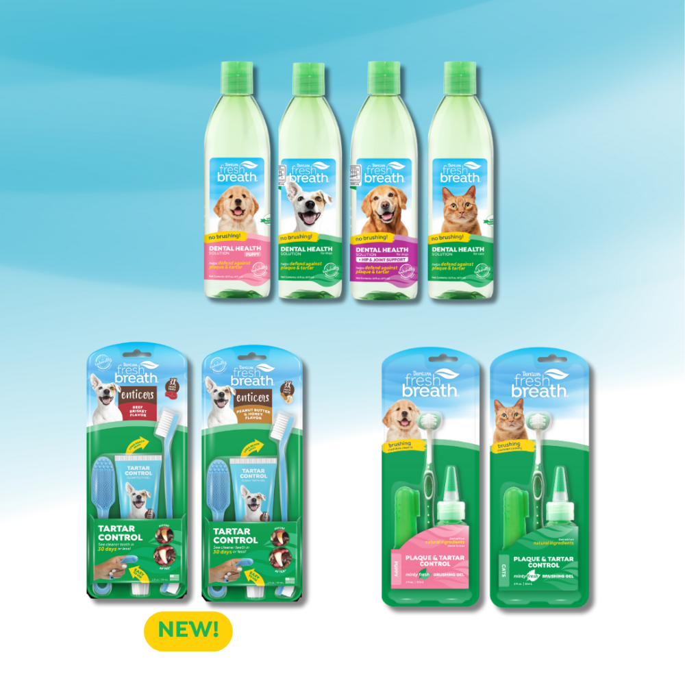 Fresh Breath Bundle 16pc