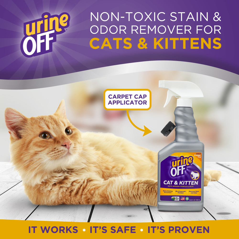 Urine Off Cat & Kitten Hard Surface Sprayer with Carpet Applicator Cap, 16.9oz