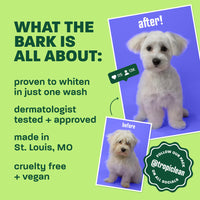 TropiClean Ultra White Brightening Shampoo for Pets, 20oz - Lined Cap
