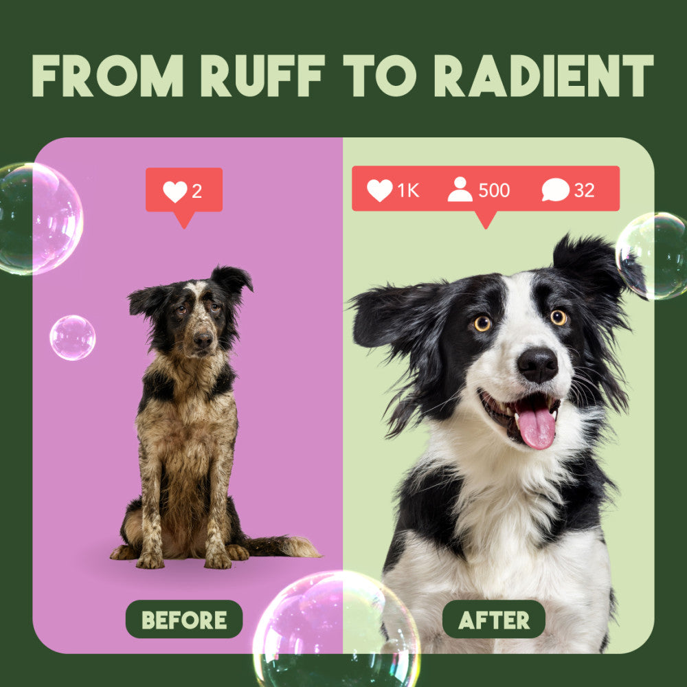 TropiClean Pure Plum High Concentrate Shampoo for Pets, 1 gal