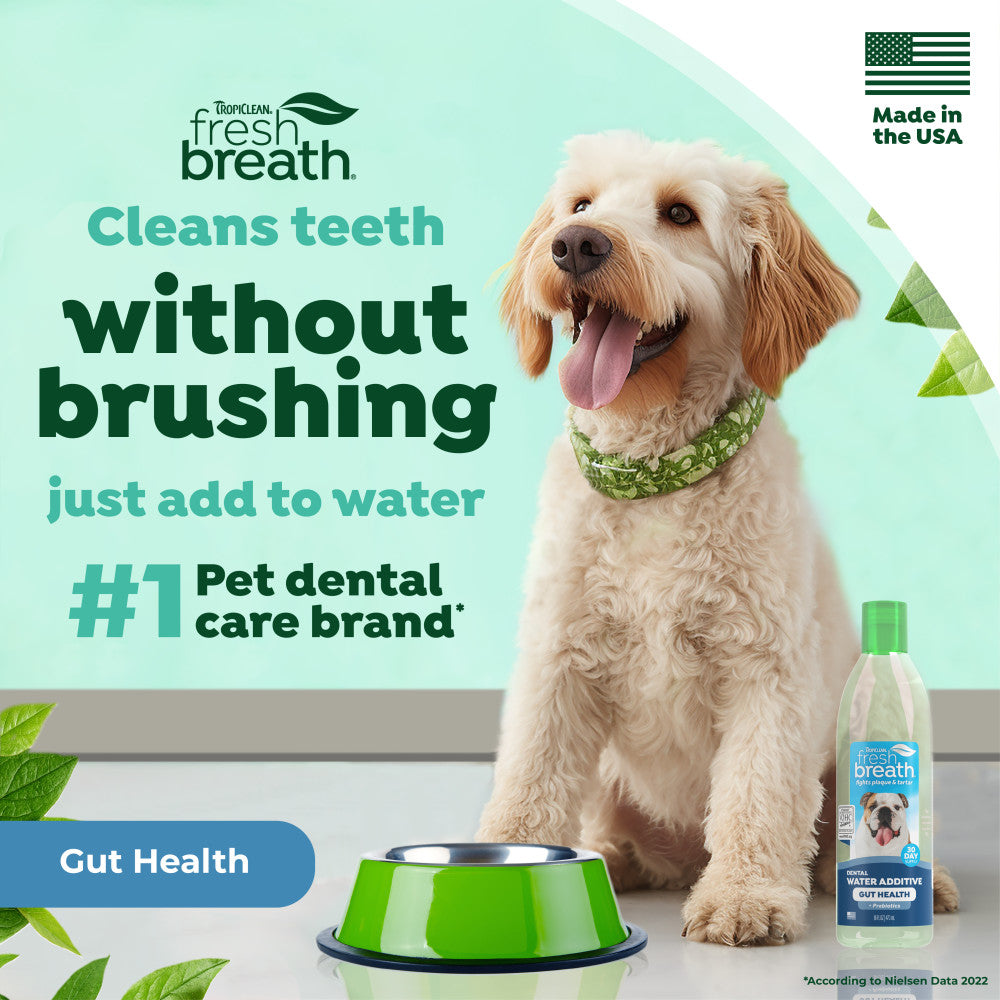 TropiClean Fresh Breath Dental Water Additive Plus Digestive Support for Dogs, 16oz