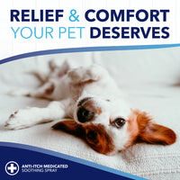 TropiClean OxyMed Medicated Anti itch Spray for Pets, 8oz