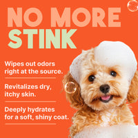 TropiClean Sweet Mandarin High Concentrate Shampoo for Pets, 1 gal