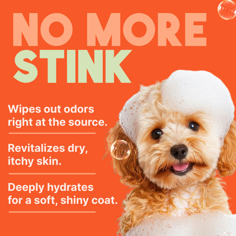 TropiClean Sweet Mandarin High Concentrate Shampoo for Pets, 1 gal