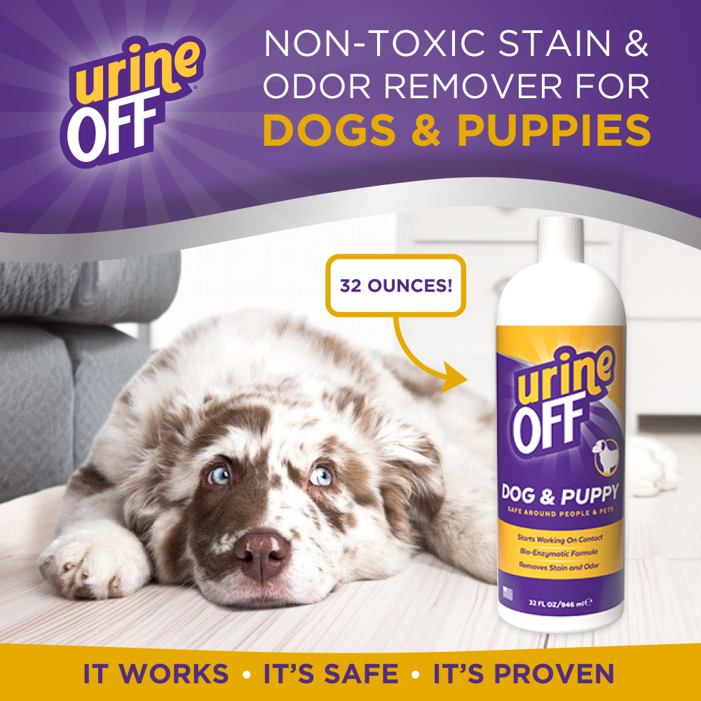 Urine Off Dog & Puppy Carpet Applicator, 32oz