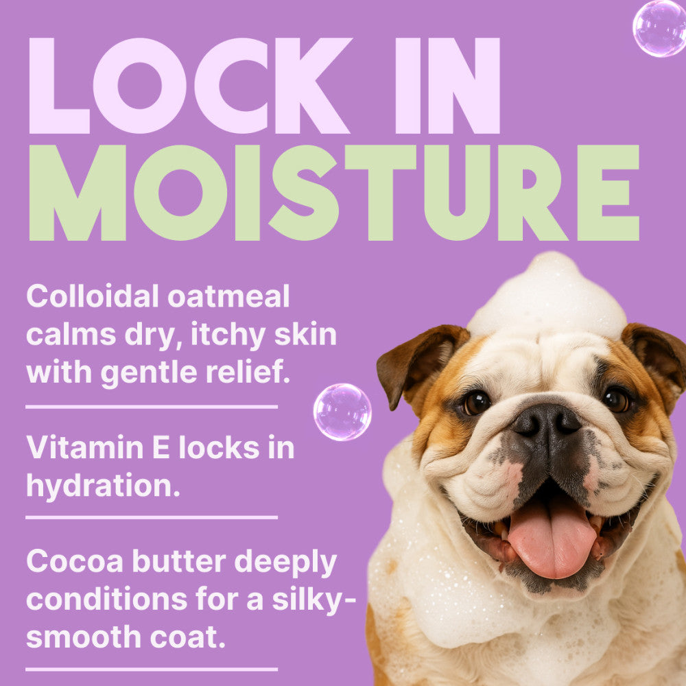 TropiClean Kiwi & Cocoa Butter Moisturizing Conditioner for Pets, 2.5 gal