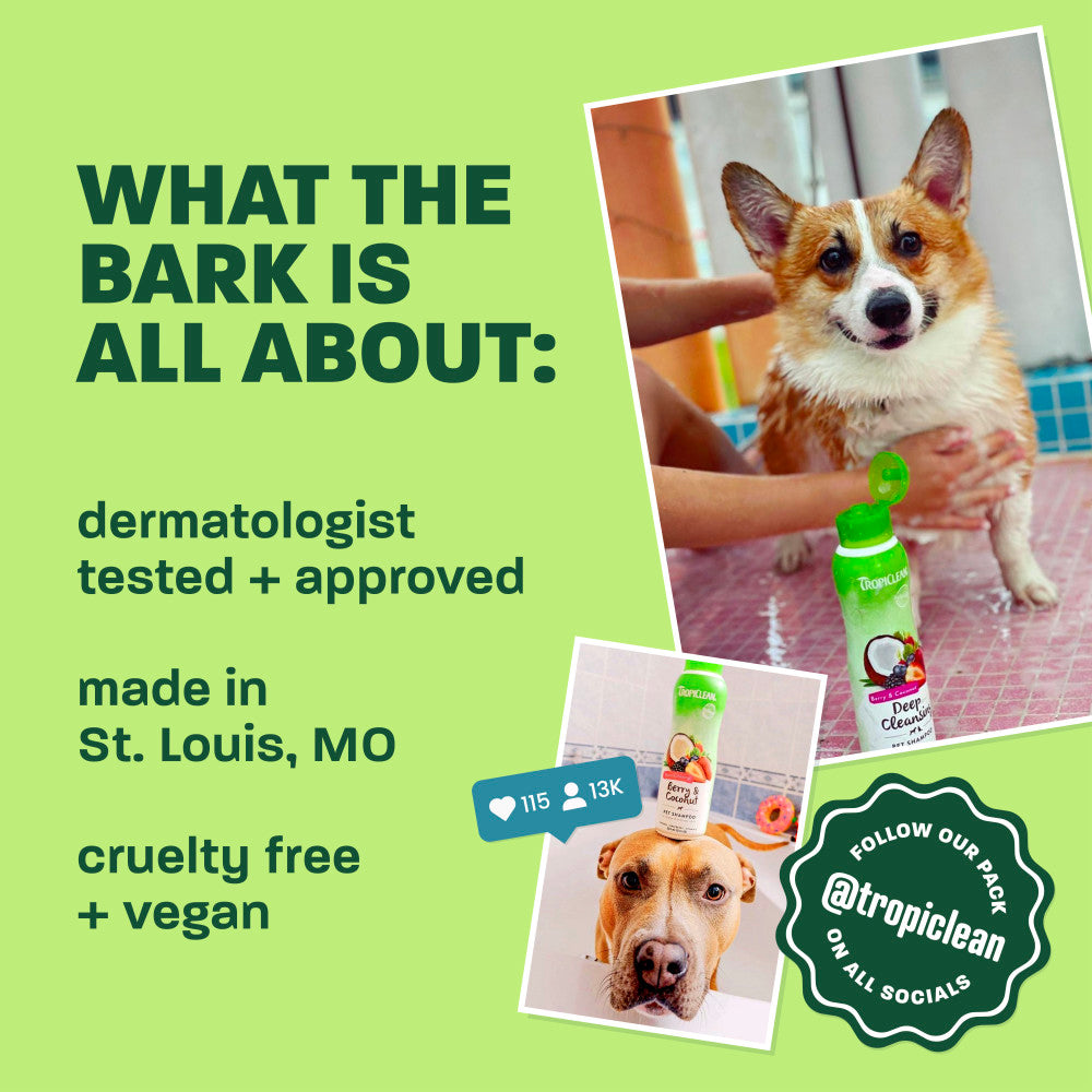 TropiClean Postbiotic Ear Wash for Pets, 4oz