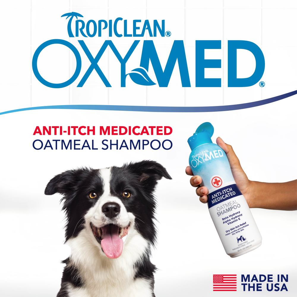 TropiClean OxyMed Medicated Anti-Itch Shampoo for Pets, 20oz