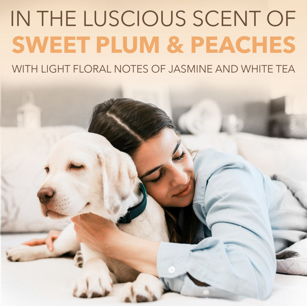 SPA by TropiClean Lavish Renew Shampoo for Pets, 1 gal