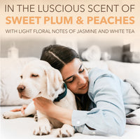 SPA by TropiClean Lavish Renew Shampoo for Pets, 1 gal