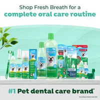 TropiClean Fresh Breath Mint Foam for Pets, 4.5oz