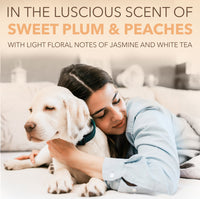 SPA by TropiClean Lavish Renew Cologne Spray for Pets, 8oz