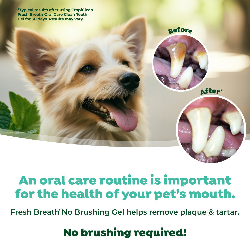 TropiClean Fresh Breath No Brushing Clean Teeth Dental & Oral Care Gel for Puppies, 2oz