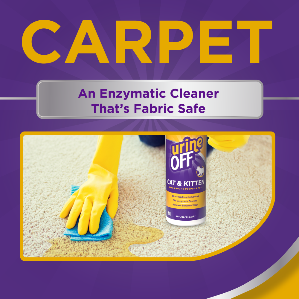 Urine Off Cat & Kitten Carpet Applicator, 32oz