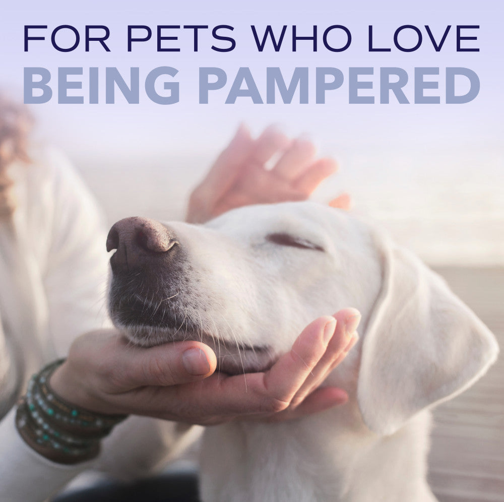 SPA by TropiClean Lavish White Coat Shampoo for Pets, 1 gal