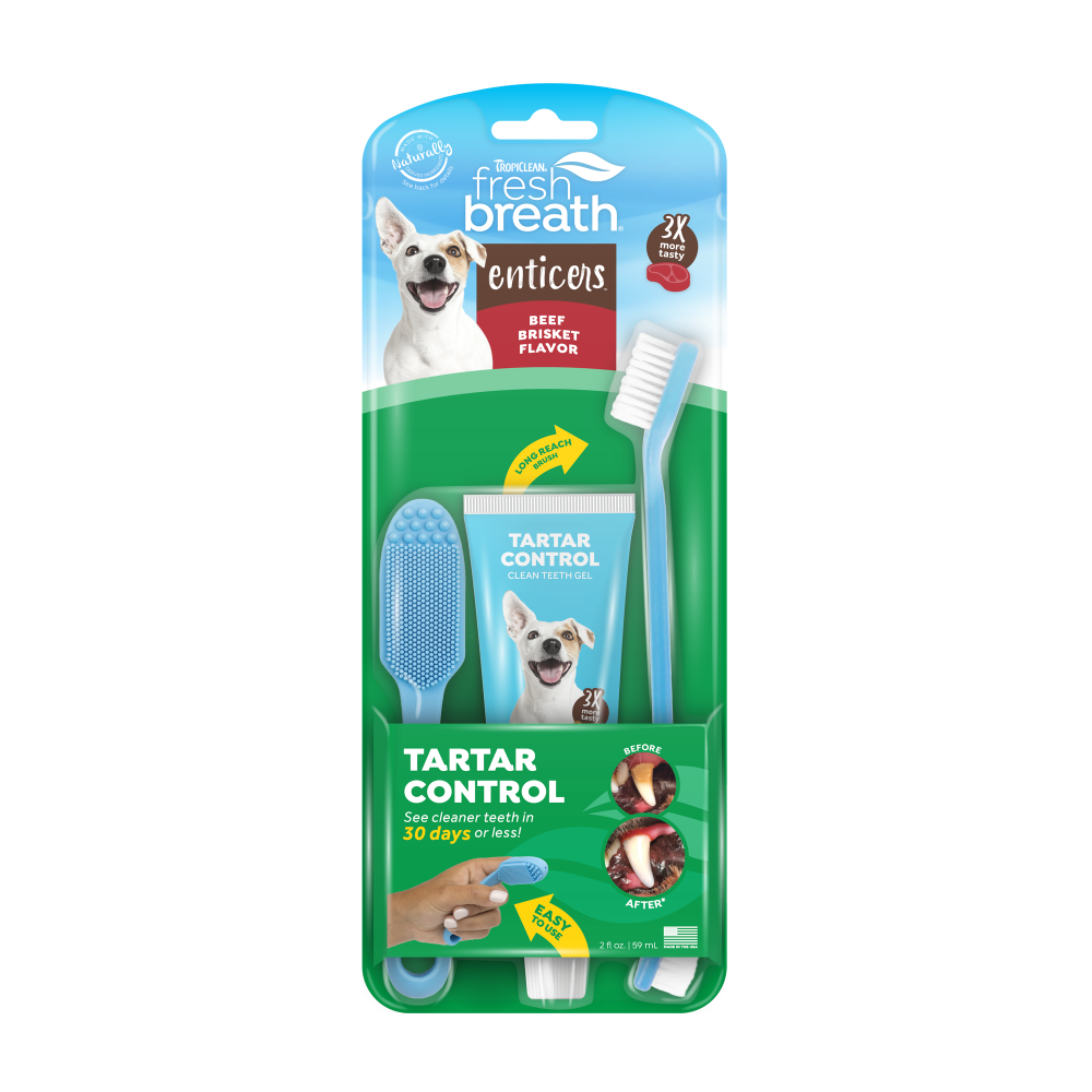 Fresh Breath Enticers Smoked Beef Brisket Oral Care Kit, 2oz