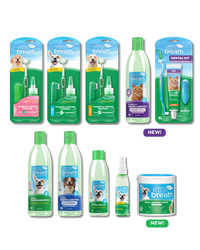 Fresh Breath Bundle 22 Piece