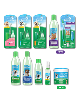Fresh Breath Bundle 22 Piece