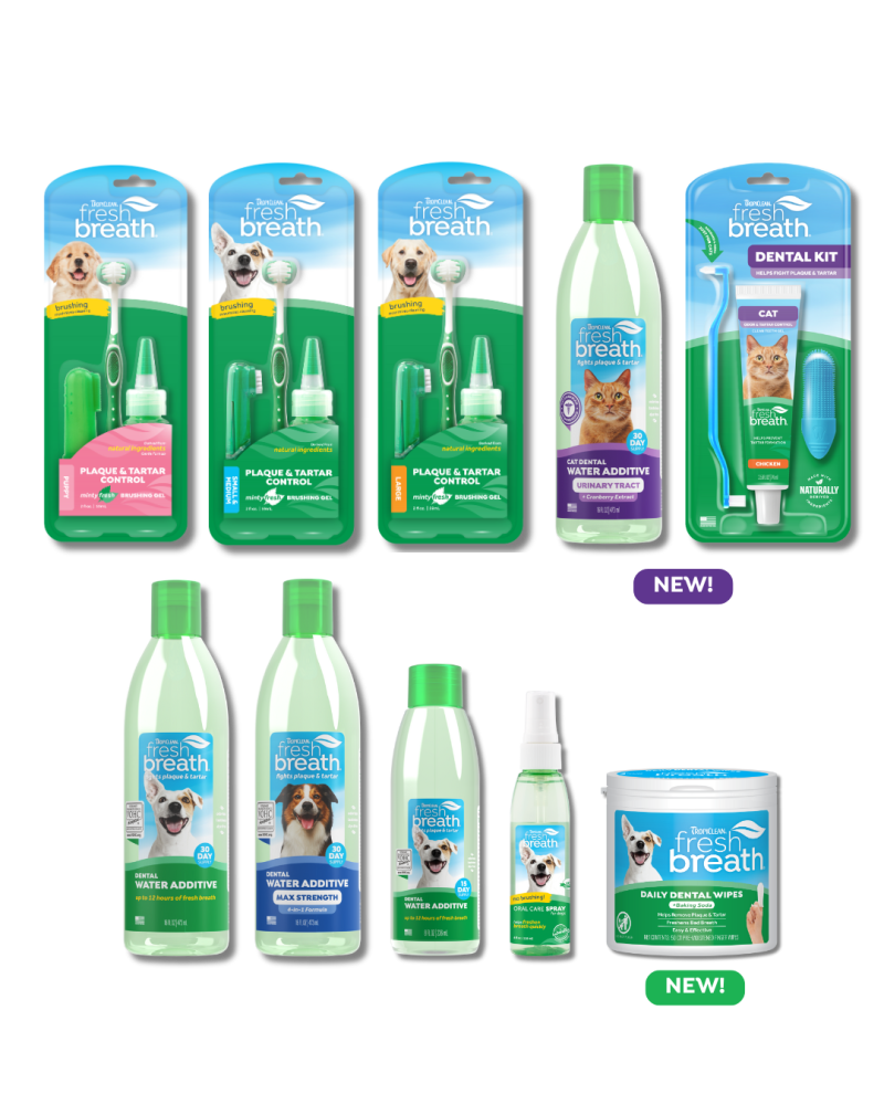 Fresh Breath Bundle 22 Piece
