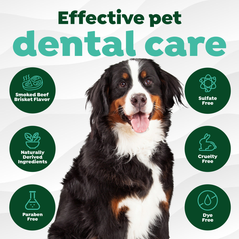 Fresh Breath Enticers Smoked Beef Brisket Oral Care Kit, 2oz