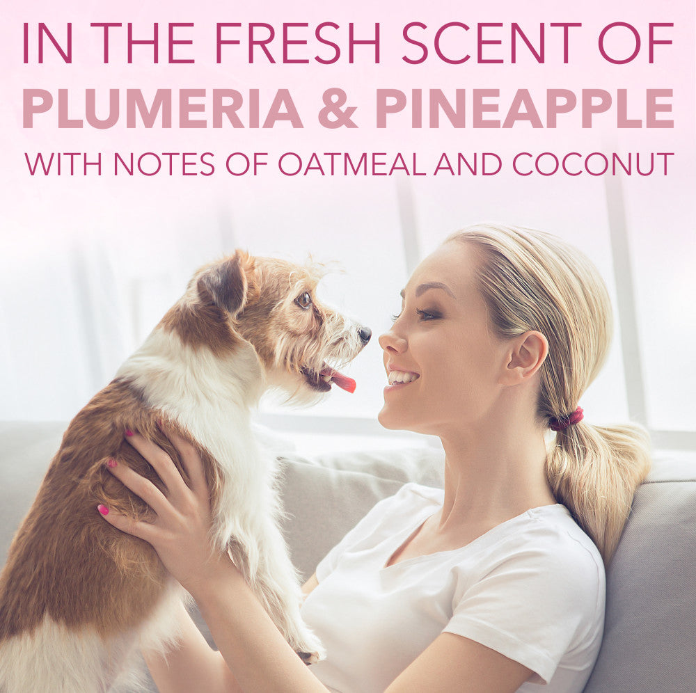 SPA by TropiClean Lavish Pure Shampoo for Pets, 1 gal