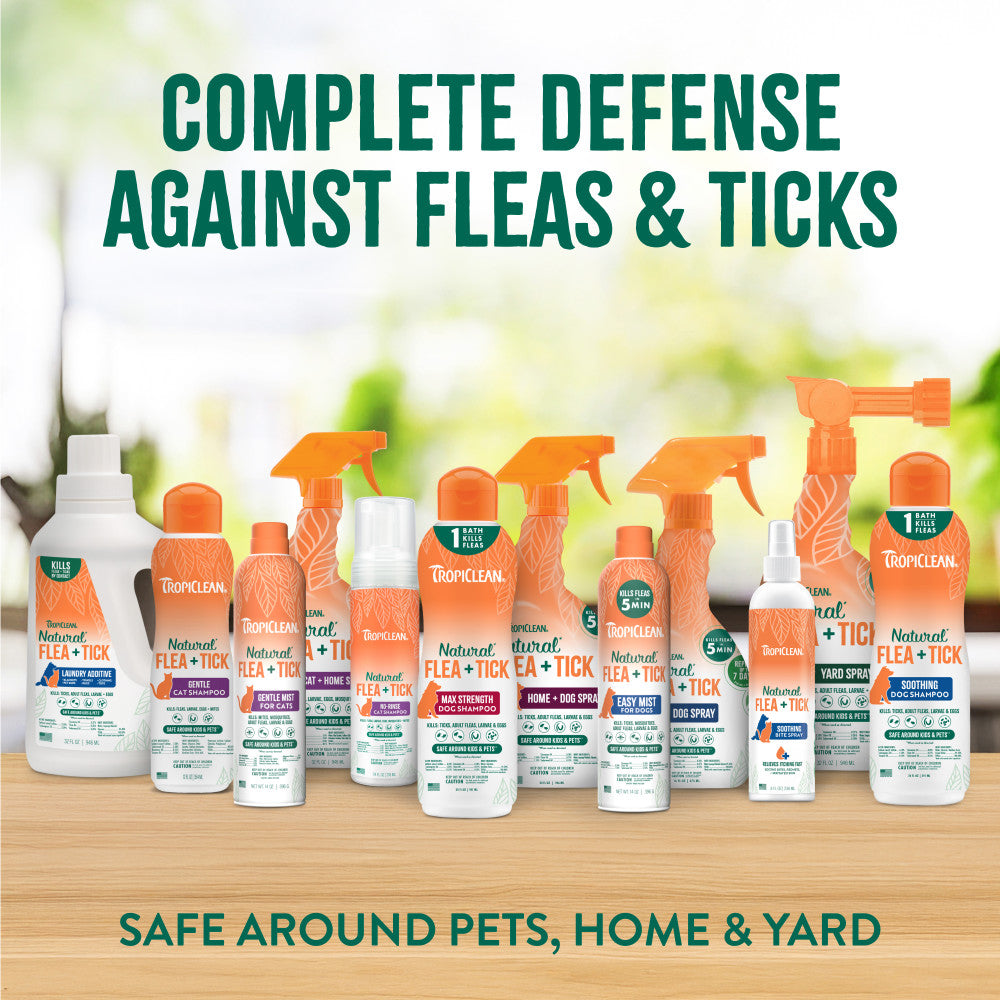 TropiClean Natural* Flea + Tick Gentle Cat Shampoo, 12oz