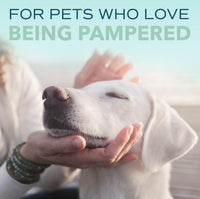 SPA by TropiClean Lavish Fresh Shampoo for Pets, 1 gal