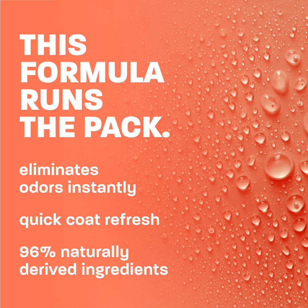 TropiClean Papaya Deodorizing Spray, 10oz