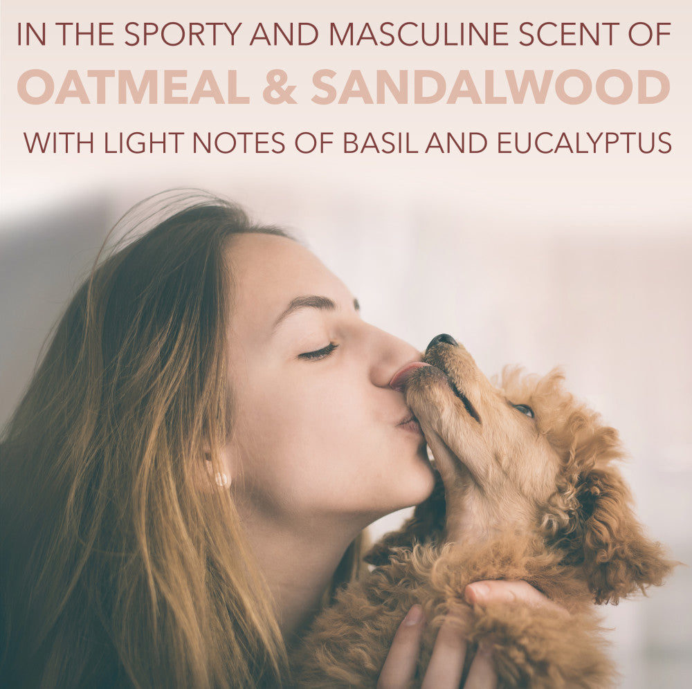 SPA by TropiClean Lavish For Him Shampoo for Pets, 16oz