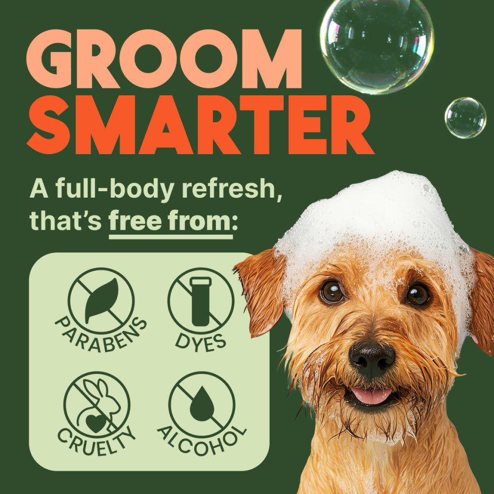 TropiClean Sweet Mandarin High Concentrate Shampoo for Pets, 1 gal