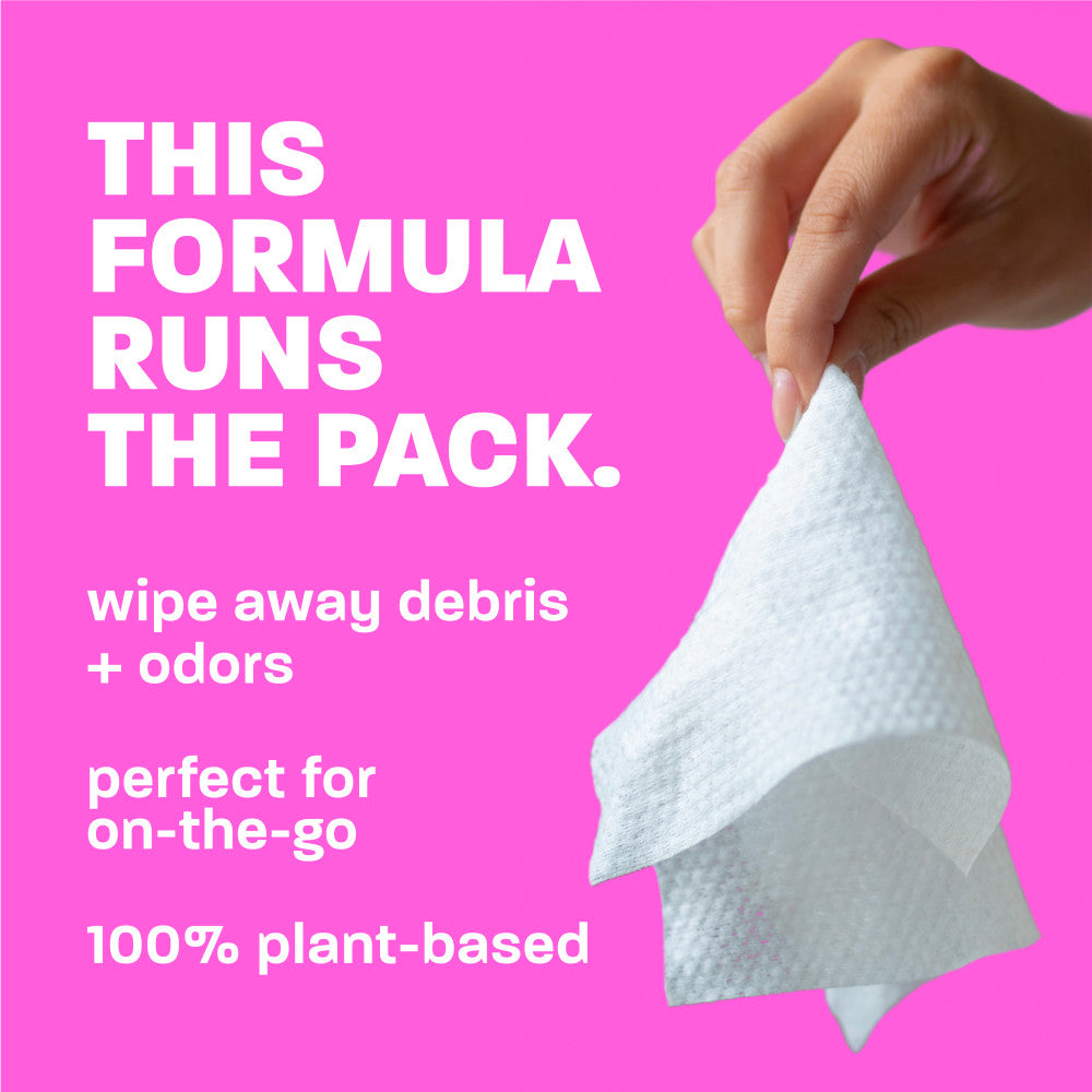 TropiClean Berry + Coconut Tushy & Paw Wipes, 100ct