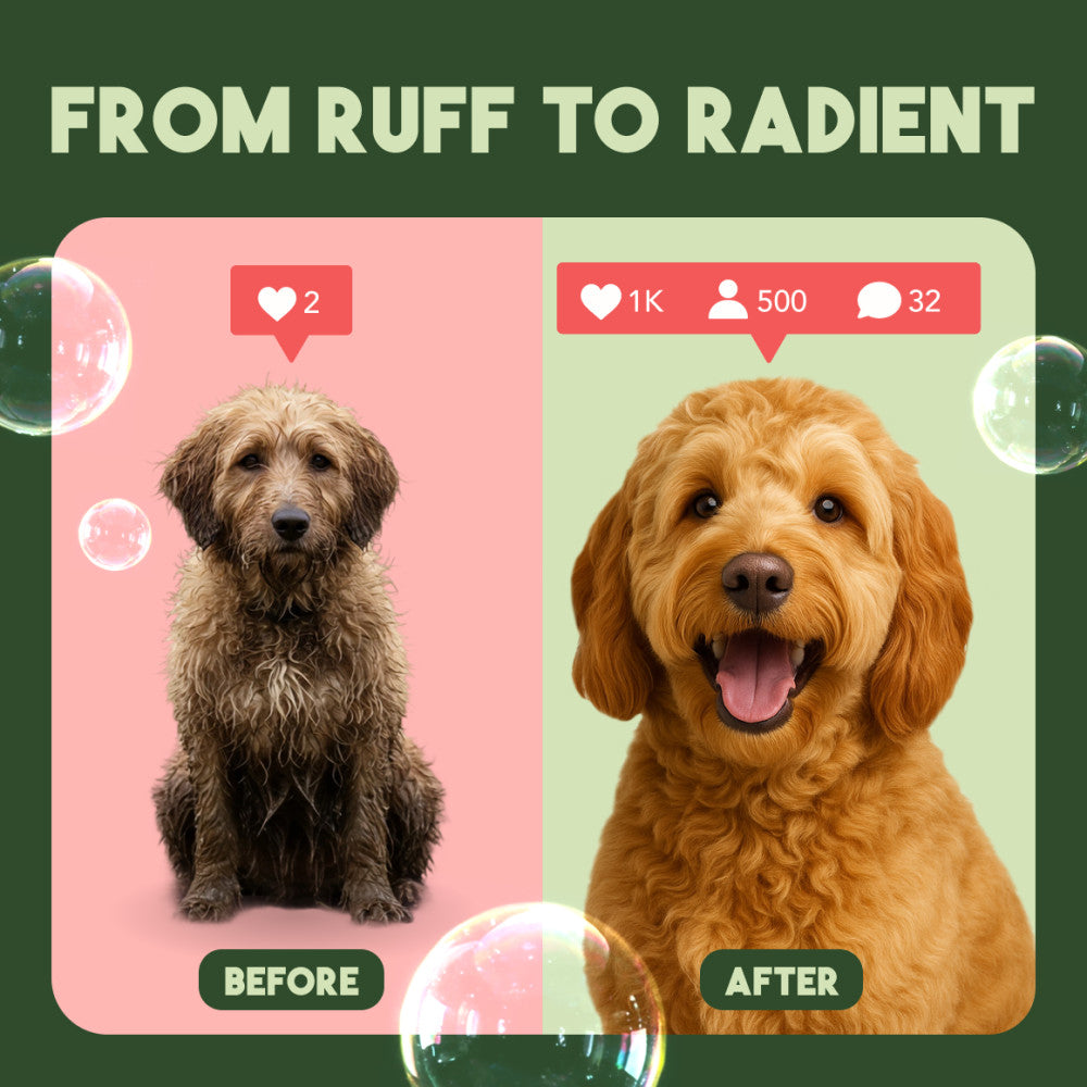 TropiClean Watermelon Deep Cleansing 2-in-1 Shampoo and Conditioner, 1 gal