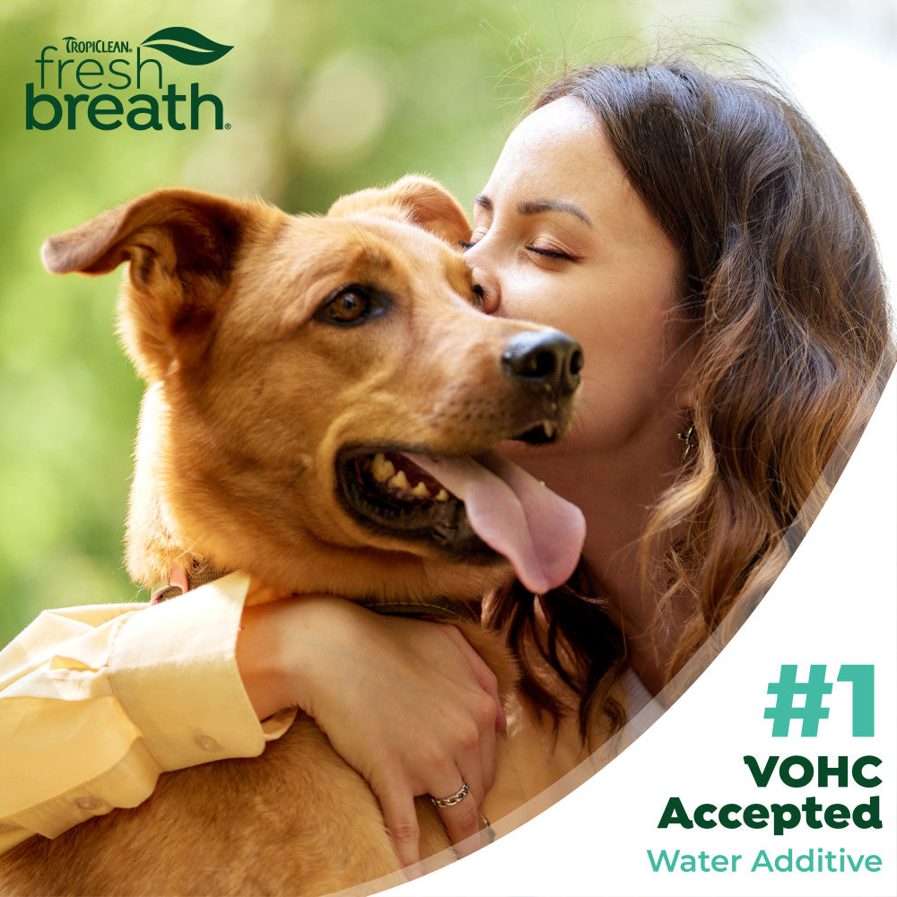 TropiClean Fresh Breath Dental Water Additive Plus Hip & Joint for Dogs, 16oz