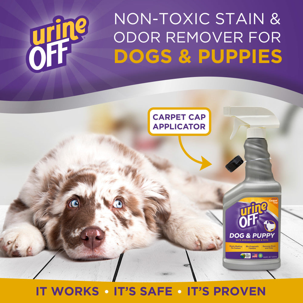 Urine Off Dog & Puppy Hard Surface Sprayer with Carpet Applicator Cap, 16.9oz
