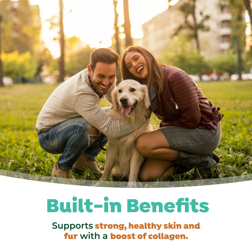 TropiClean Fresh Breath Dental Health Solution Supports Skin Health for Dogs, 16oz