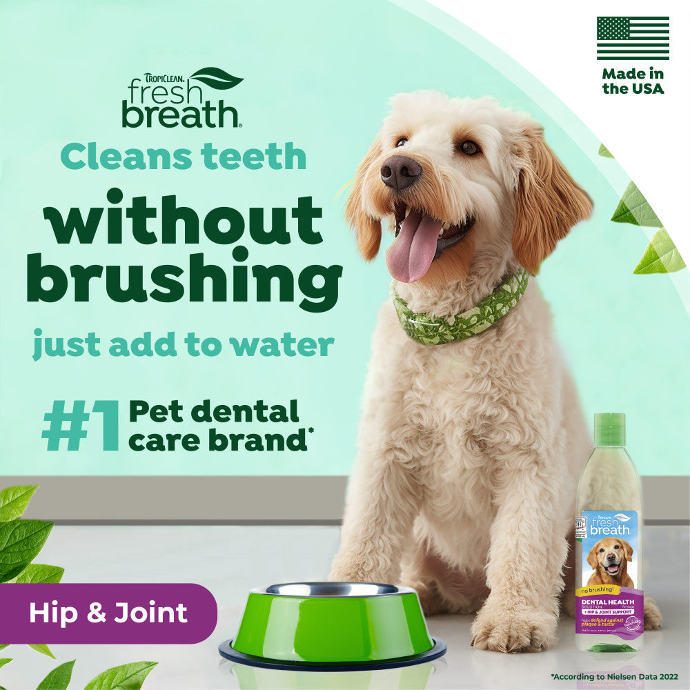 TropiClean Fresh Breath Dental Water Additive Plus Hip & Joint for Dogs, 16oz